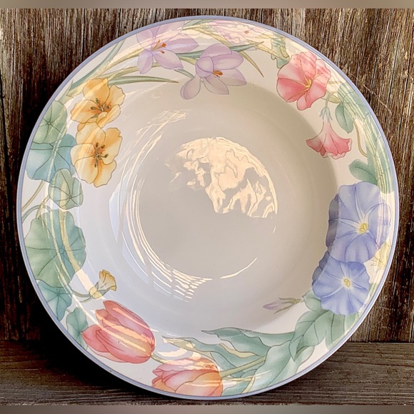 Vintage Discontinued MIKASA Optima SPRING LEGACY Rimmed Soup Bowl Replacement - Picture 12 of 13